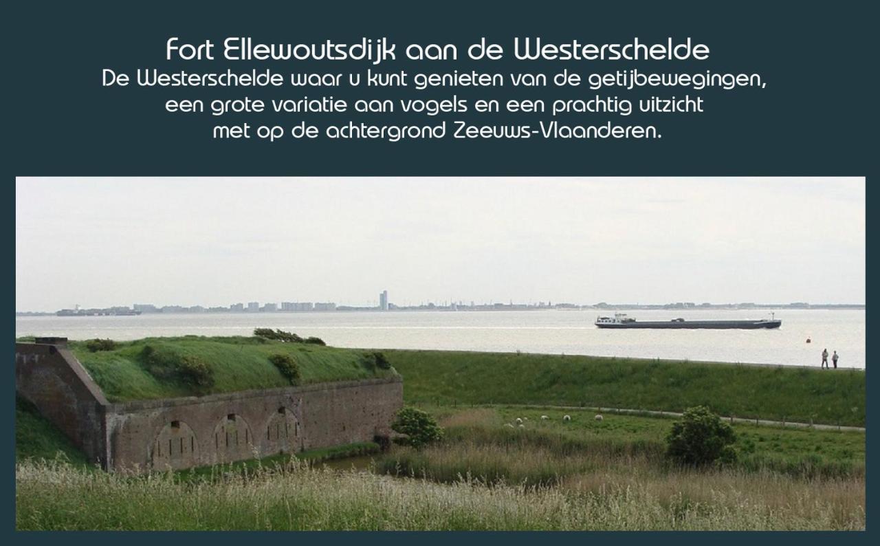 Vakantiewoning Deltahof Ellewoutsdijk Екстер'єр фото