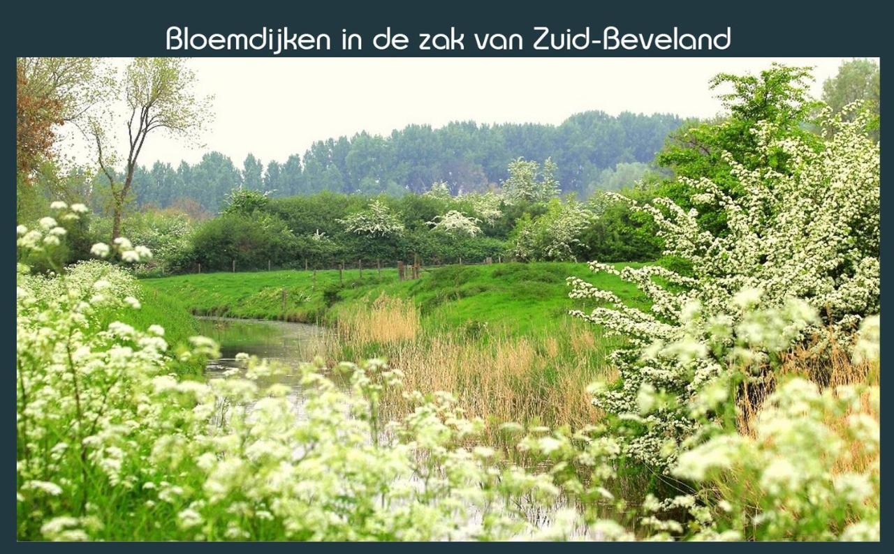 Vakantiewoning Deltahof Ellewoutsdijk Екстер'єр фото