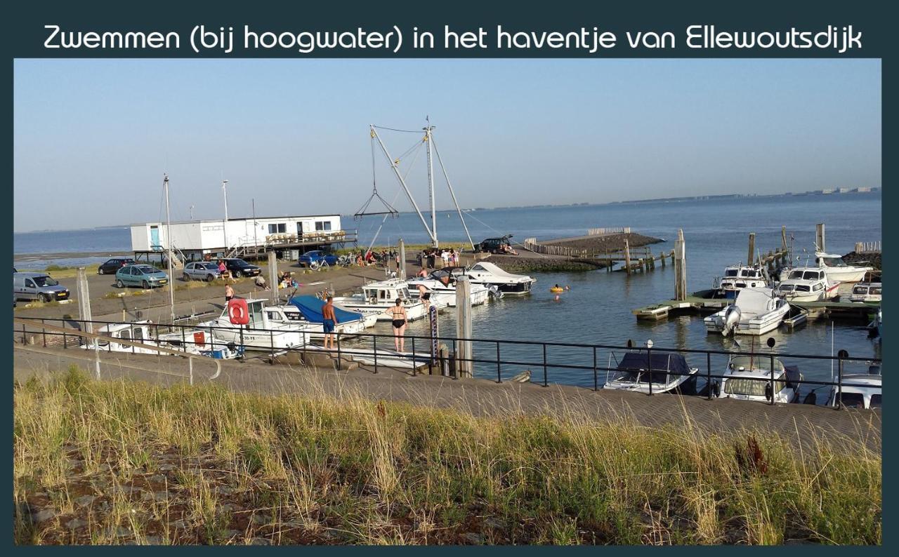 Vakantiewoning Deltahof Ellewoutsdijk Екстер'єр фото